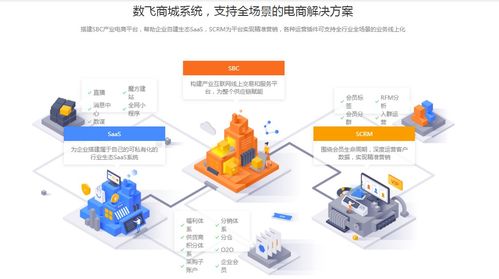 自建产业生态商城系统,为产业互联网化 数字化赋能